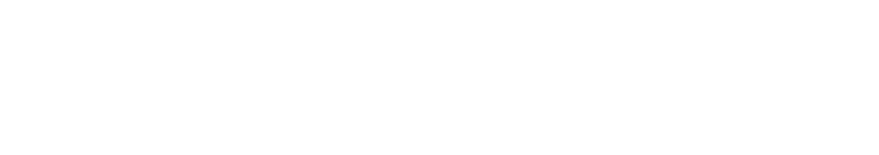 N-Force AI Logo